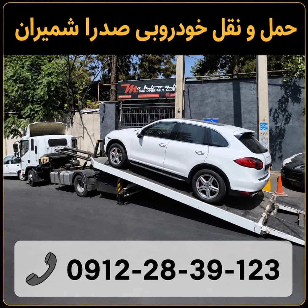 1786347806779.webp